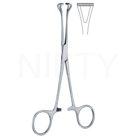 Babcock Tissue Forcep