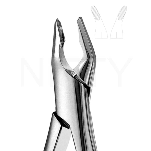 Extracting Forcep American Pattern Upper Anterior & Premolar #150 Apical