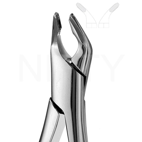 Extracting Forcep American Pattern Lower Anterior & Premolar #151 Apical