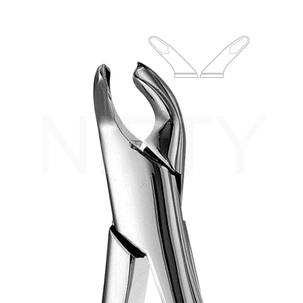 Extracting Forcep American Pattern Lower Anterior & Premolar #151A Cryer