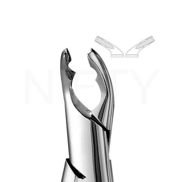 Extracting Forcep American Pattern Lower Anterior & Premolar #151AS