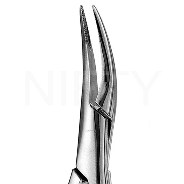 Extracting Forcep American Pattern Roots #300