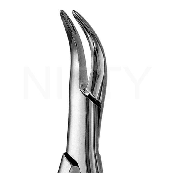 Extracting Forcep American Pattern Roots #301