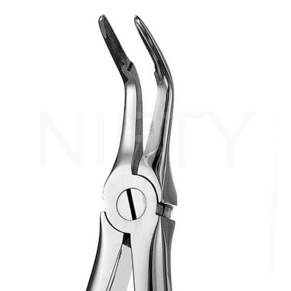 Extracting Forcep English Pattern Lower Roots #46L